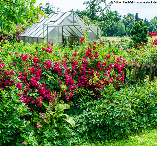 Naturnaher Garten 