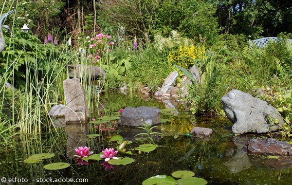 Naturgarten mit Teich